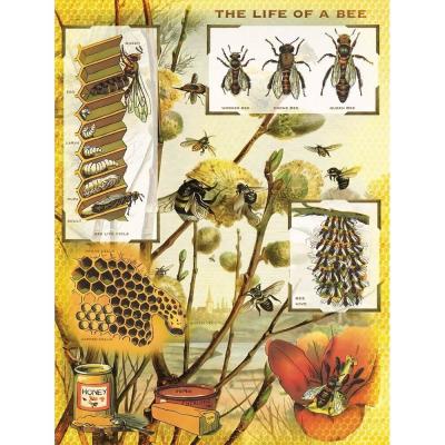 Puzzle 1000 piÃ¨ces : Abeilles et miel