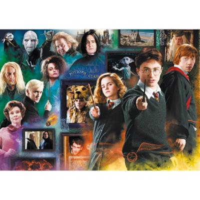 Puzzle 1000 piÃ¨ces : Harry Potter - Le Monde des Sorciers