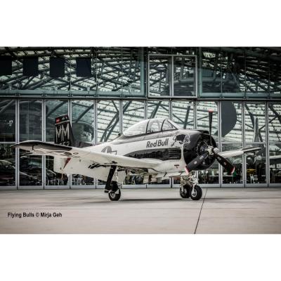 Maquette avion : Flying Bulls T-28 Trojan