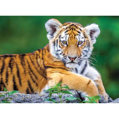 Puzzle 150 piÃ¨ces :  BÃ©bÃ© Tigre