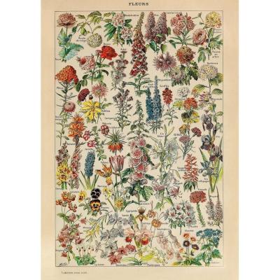 Puzzle 1000 pièces : Fleurs - Millot Puzzle 1000 pièces : Fleurs - Millot