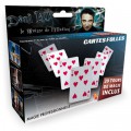 OID Magic Magie : Dani Larry : Cartes folles