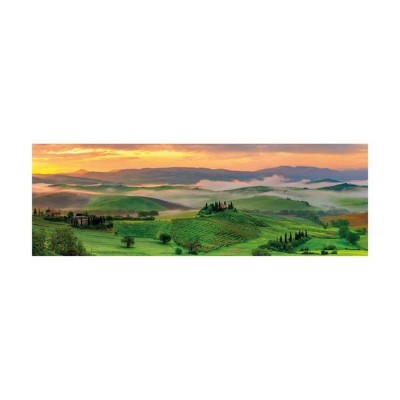 Puzzle panoramique 1000 piÃ¨ces : Coucher de soleil