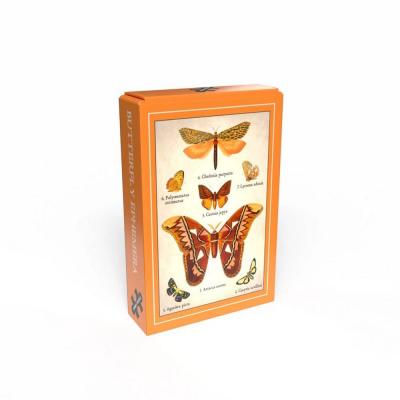 Mini Puzzle 99 piÃ¨ces : Papillon ÃphÃ¨mere