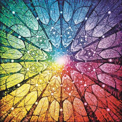 Puzzle 1023 piÃ¨ces : Mandala de la Vie - David Mateu - Edition SpÃ©ciale