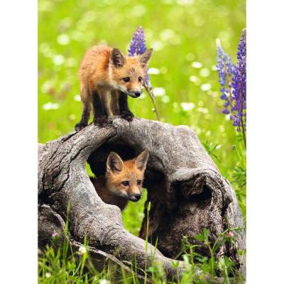 Puzzle 300 piÃ¨ces XXL : Mignons renards