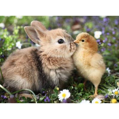 Puzzle 500 piÃ¨ces : Lapin et poussin