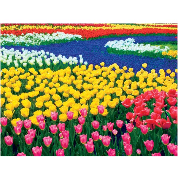 Puzzle 550 pièces : La saison des tulipes - Master-Pieces-31623