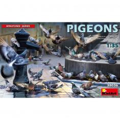 Accessoires de dioramas : Pigeons
