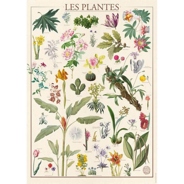 Puzzle 1500 pièces :  Muséum National D'Histoire Naturelle : Les Fleurs - Nathan-Ravensburger-87309