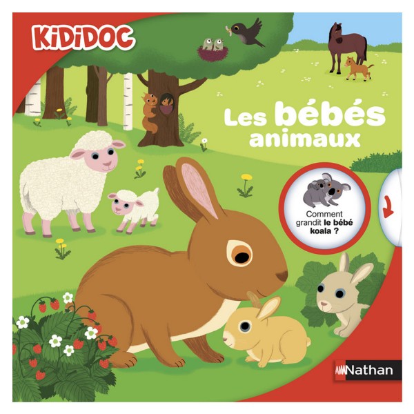 Livre Kididoc : Les bébés animaux - Nathan-54935