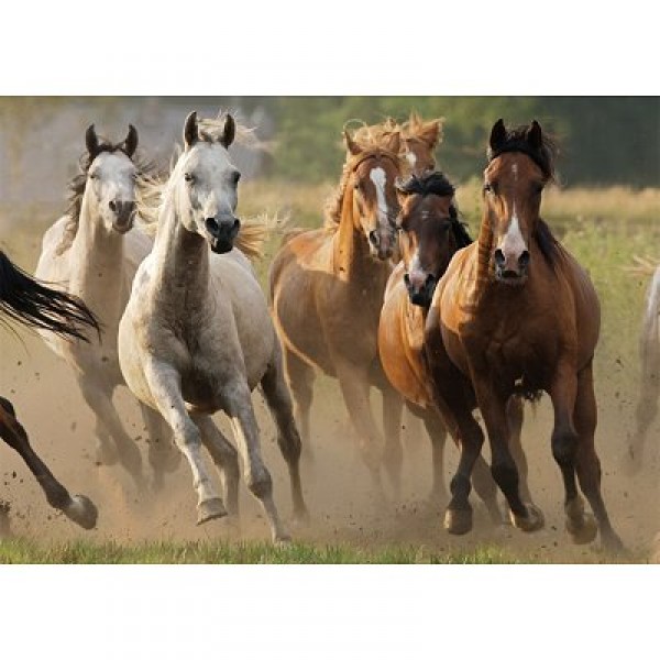 Puzzle 1000 pièces - Horde de chevaux sauvages - Nathan-Ravensburger-87561