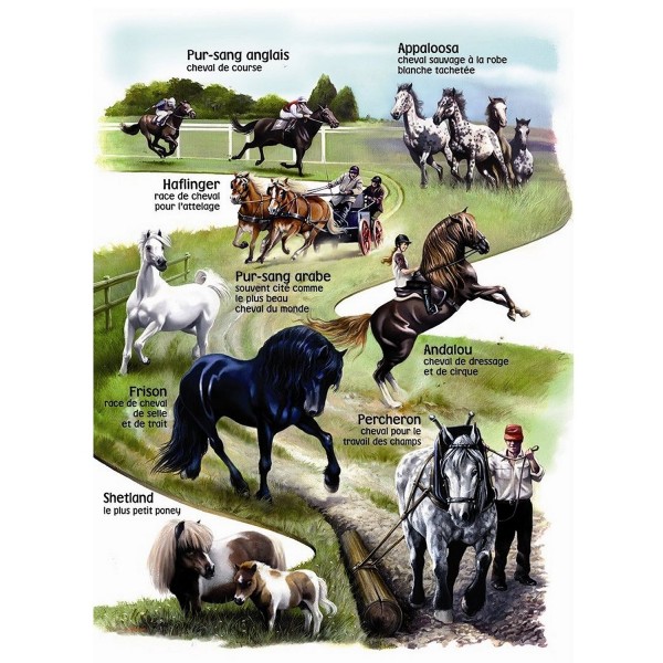 Puzzle 150 pièces maxi : Mes amis les chevaux - Nathan-Ravensburger-86854