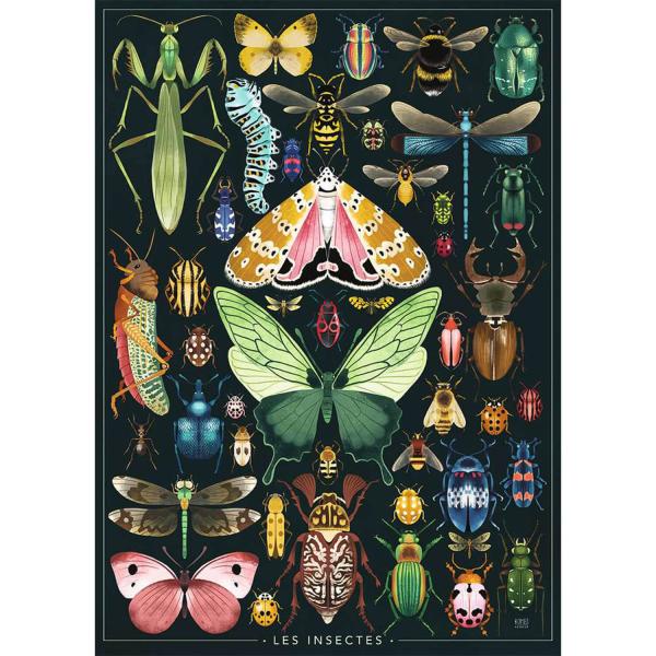 Puzzle 1000 pièces : Les insectes, Rebecca Romeo - Nathan-Ravensburger-87244