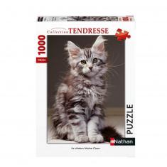 Puzzle 1000 pièces : Tendresse - Le chaton Maine Coon