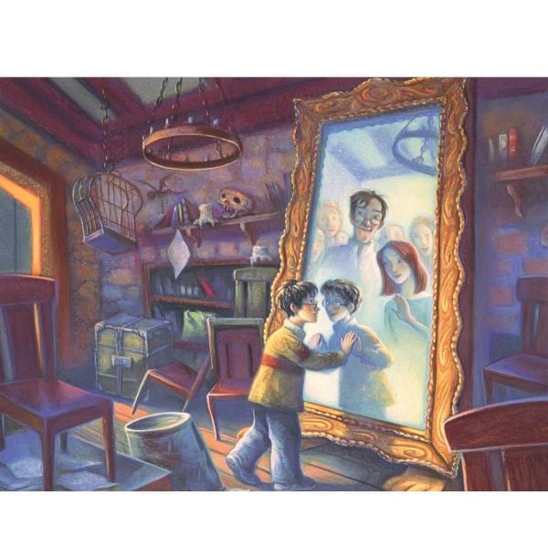 Puzzle 1000 pièces : Harry Potter : Miroir du Riséd - Newyork-NYPNPZHP1915