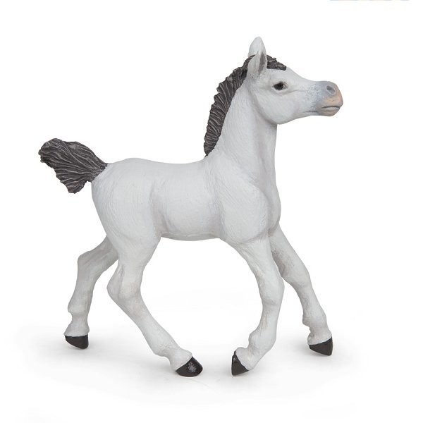 Figurine Cheval arabe blanc : Poulain - Papo-51538