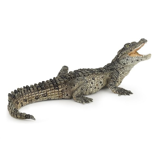 Figurine Crocodile : Bébé - Papo-50137
