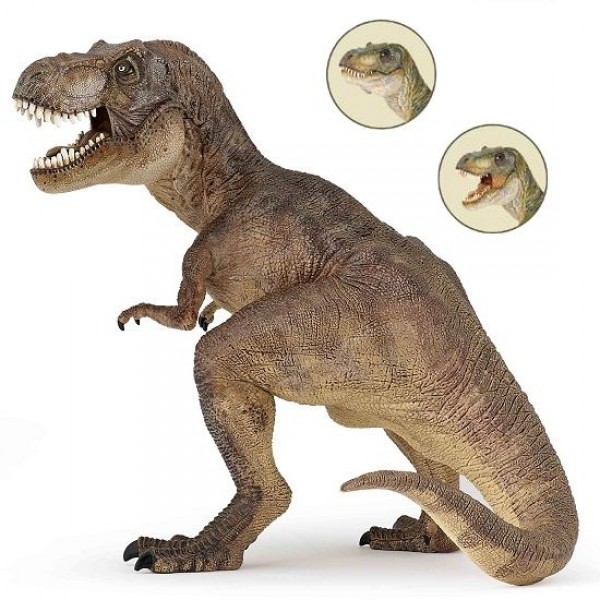 Figurine Dinosaure : Tyrannosaure : Brun - Papo-55001N
