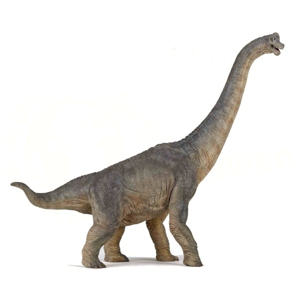 Figurine Dinosaure : Brachiosaure - Papo-55030