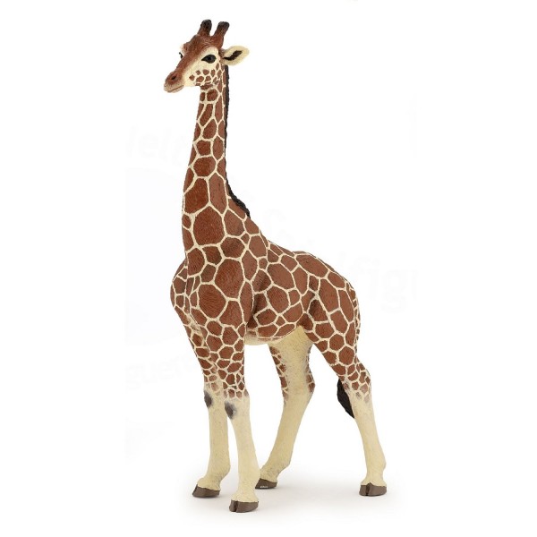 Figurine girafe mâle - Papo-50149