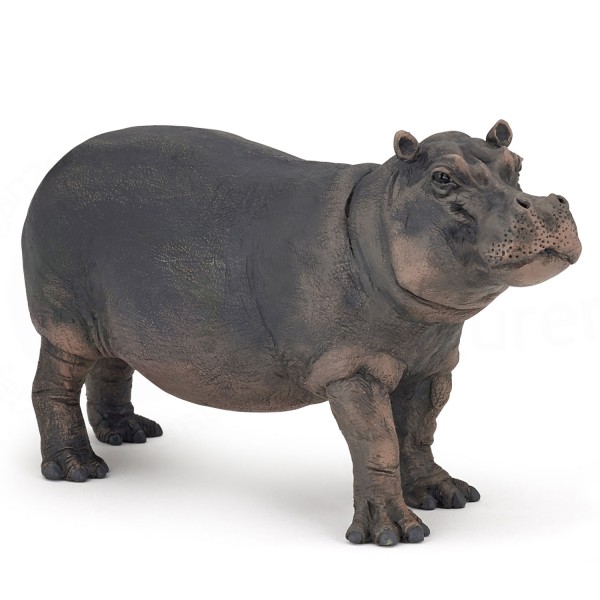 Figurine Hippopotame femelle - Papo-50155