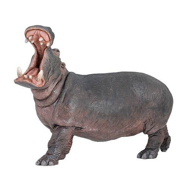 Figurine Hippopotame adulte - Papo-50051