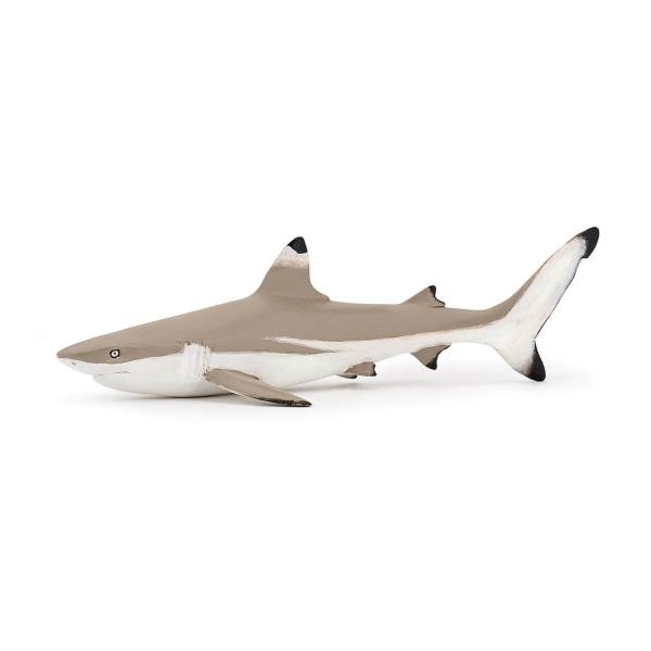 Figurine requin à pointes noires - Papo-56034