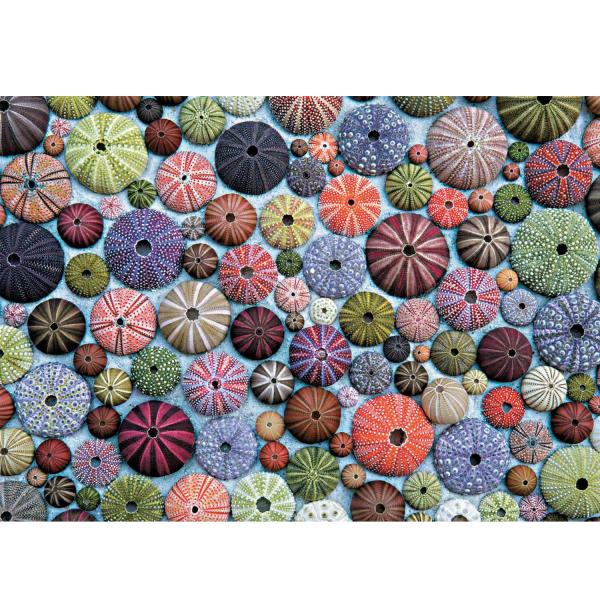 1000 pieces Jigsaw Puzzle: Sea Urchins - Piatnik-5488