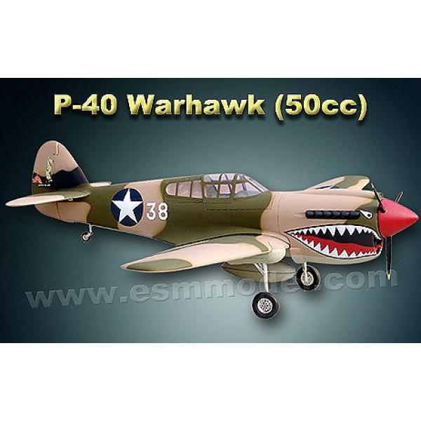 P-40 WARHAWK 2210mm ARF - OST-87167