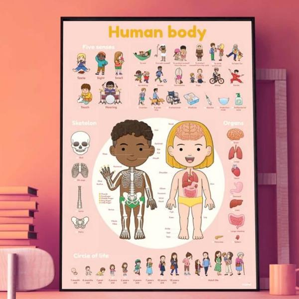 Poster pédagogique et stickers : Le corps humain - Poppik-DIS011