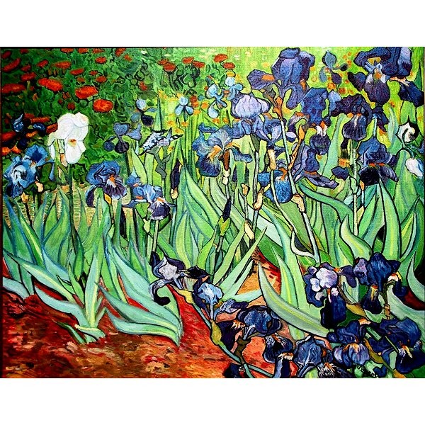 Puzzle d'art en bois 500 pièces Michèle Wilson - Van Gogh : Les Iris - PMW-A270-500