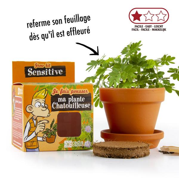 Kit de jardinage : Graines de Mimosa sensitive à faire pousser - RadisetCapucine-25965