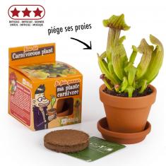 Kit de jardinage : Graines de plantes carnivores - A faire pousser