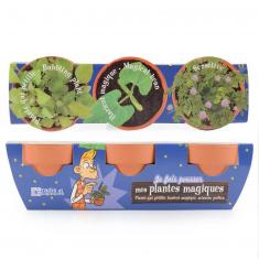 Kit de jardinage : 3 pots de plantes magiques