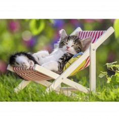 2 x 24 pieces puzzle: Resting kittens