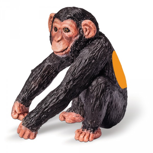 Figurine électronique Tiptoi : Bébé Chimpanzé - Ravensburger-00365