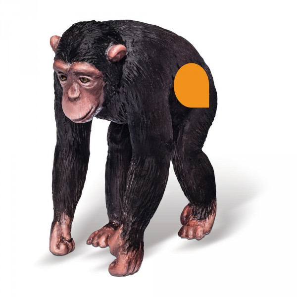Figurine électronique Tiptoi : Chimpanzé - Ravensburger-00364