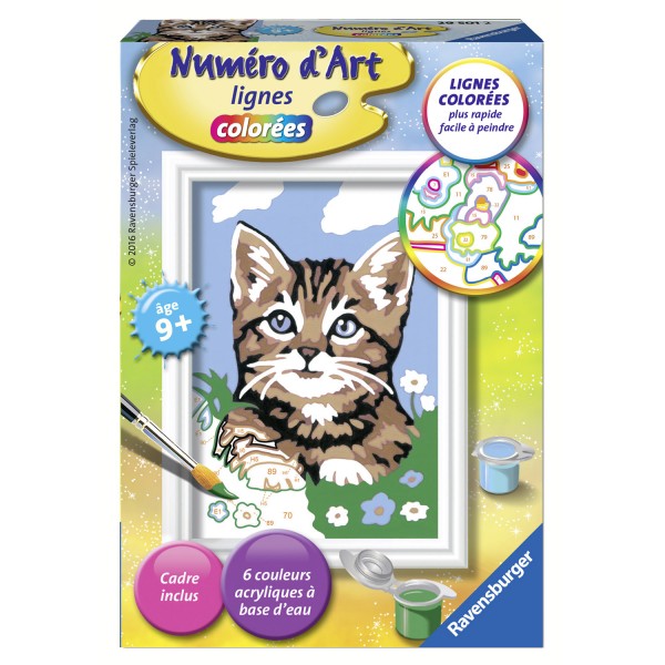 Peinture au numéro : Numéro d'Art lignes colorées : Chaton tigré étonné - Ravensburger-29501