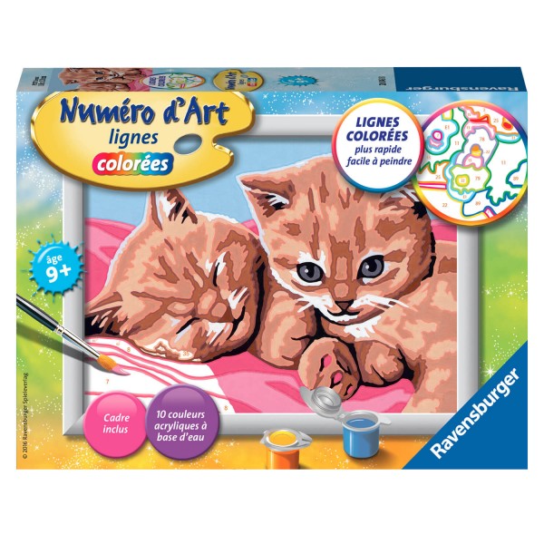 Peinture au numéro : Numéro d'Art lignes colorées : Deux chatons roux - Ravensburger-28043