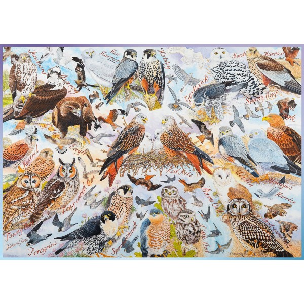Puzzle 1000 pièces : Oiseaux de proie - Ravensburger-19559