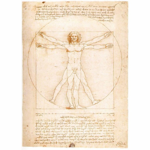 Puzzle 1000 pièces - Léonard de Vinci : L'Homme de Vitruve - Ravensburger-15250