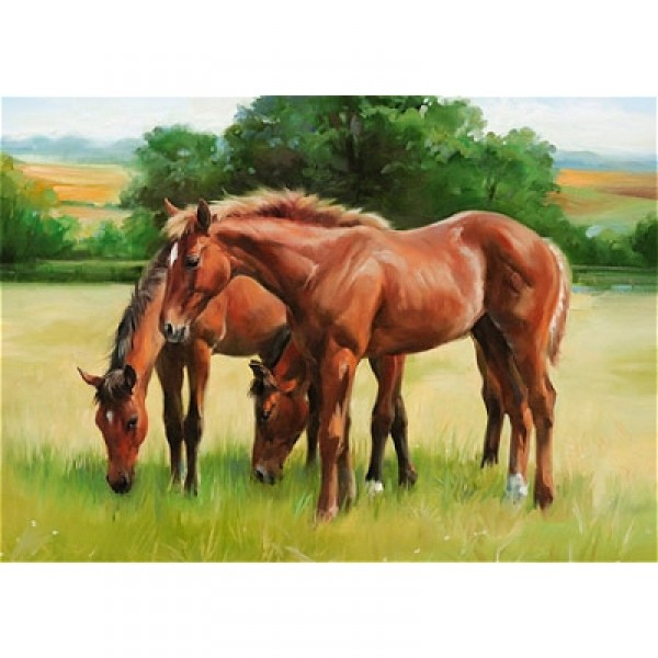 Puzzle 1500 pièces - Chevaux dans le pré - Ravensburger-16390