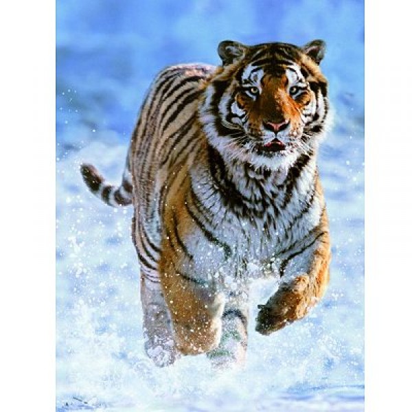 500 Teile Puzzle - Tiger im Schnee - Ravensburger-144754