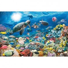 Puzzle 5000 pièces - Sous la mer