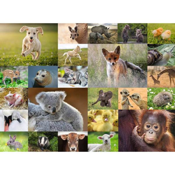 Puzzle 200 pièces XXL :  Adorables bébés animaux - Ravensburger-13353