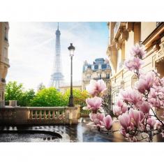 Puzzle 500 pièces :  Le printemps à Paris