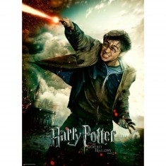 100 Teile XXL-Puzzle: Die fantastische Welt von Harry Potter
