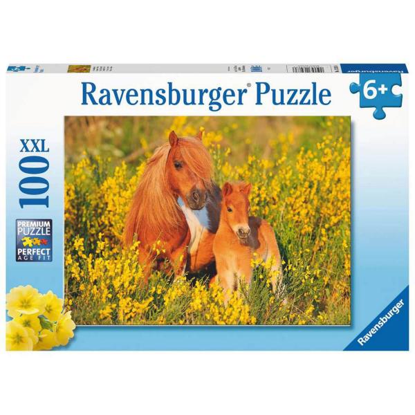 Puzzle 100 XXL Teile: Shetlandponys - Ravensburger-13283