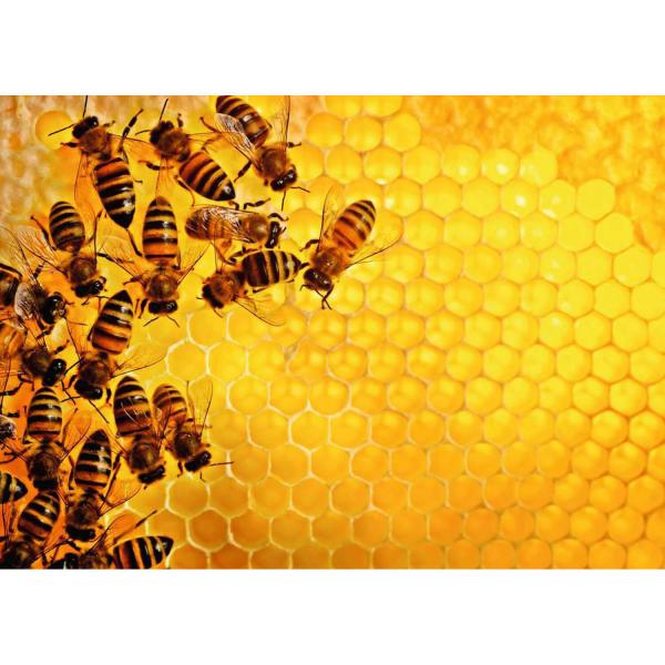 Puzzle 1000 pièces :  La ruche aux abeilles (Challenge Puzzle) - Ravensburger-17362